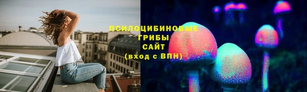 сатива Волосово
