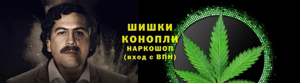 гидропоника Володарск
