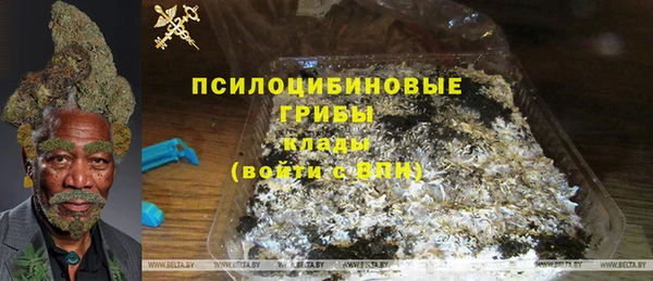 ALPHA PVP Горно-Алтайск