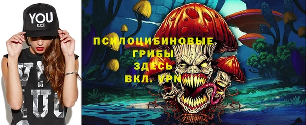 сатива Волосово