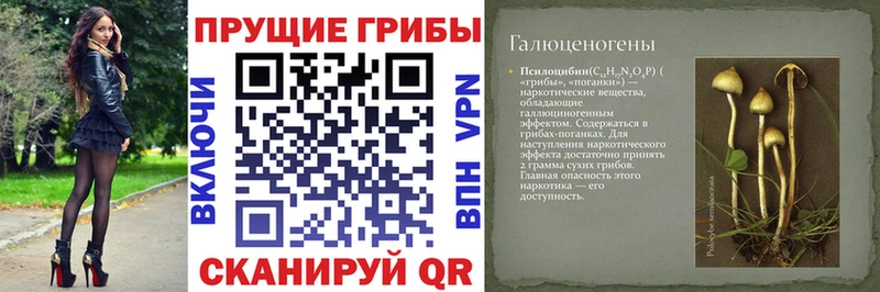 Галлюциногенные грибы GOLDEN TEACHER  Жигулёвск 